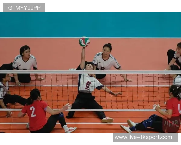 南京排球队反击战术深度解析与实战应用探讨